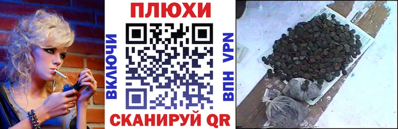 гидра   купить  цена  Кашин  ГАШ гашик 