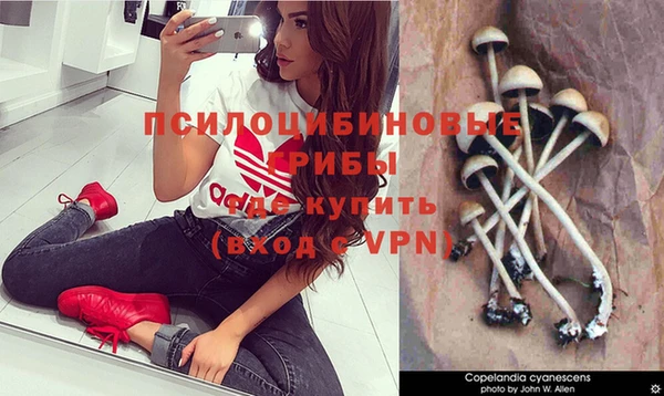 ПСИЛОЦИБИНОВЫЕ ГРИБЫ Володарск