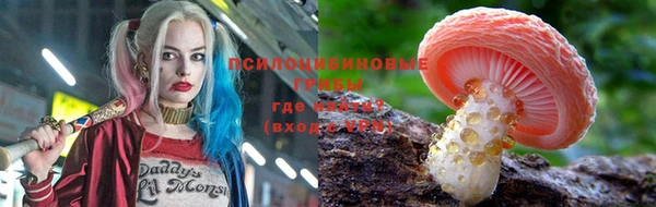 ПСИЛОЦИБИНОВЫЕ ГРИБЫ Володарск