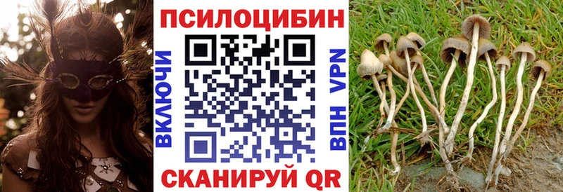 Галлюциногенные грибы Magic Shrooms  Кашин 