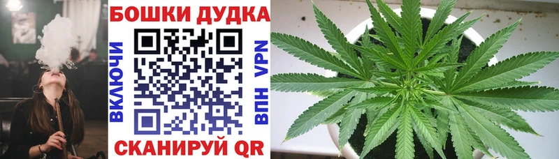 Канабис ГИДРОПОН  Кашин 